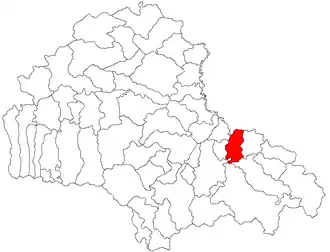Location within Brașov County