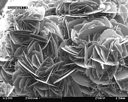 Hematite in scanning electron microscope, magnification 100x