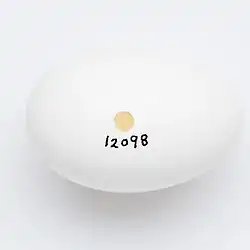 a white elongated egg