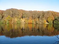 The small yet deep Herthasee in the national park as part of Sassnitz, with the Slavic hill fort Herthaburg at its banks