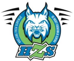 Shirt badge/Association crest