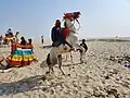 Horse on the Varanasi Beach