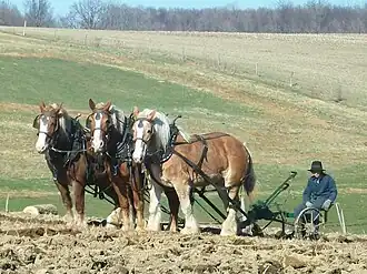 Plowing