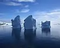 Icebergs in the channel