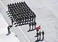Forces of the Turkish Armed Forces