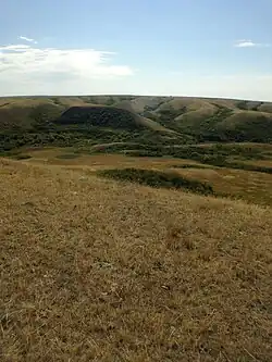 A buffalo jump and pemmican processing site in the Coalmine Ravine near Herschel