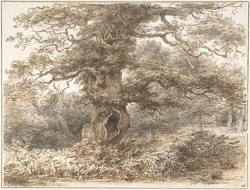 In the Park at Packington