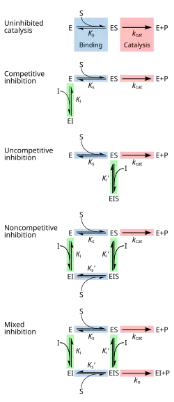 chemical equilibrium reaction formula for competitive, uncompetitive, non-competitive, and mixed inhibition
