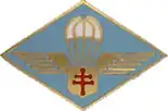 Para Chasseur Company of the Free French Forces (FFL).