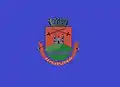Flag of Ipuiúna