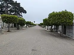 Tree-lined Colombo Avenue