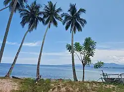 A beach near Buol-Paleleh road