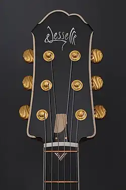 A Jesselli Tiered Guitar.