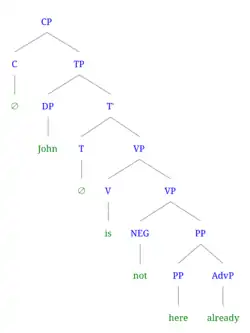 Syntax tree of (1c) John is not here already (negative)