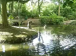 Kangaroo and Platypus, The Water Gardens, Hemel Hempstead, UK