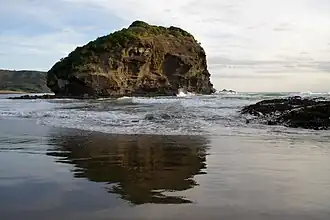 Kauwahaia Island at O'Neill Bay