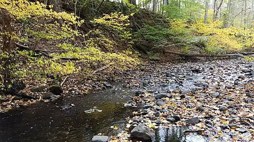 Keen's Mill Brook on the Grist Mill Trail