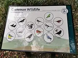 More wildlife of Kelsey Park