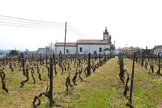 Church of Lobão da Beira (Igreja de Lobão da Beira)
