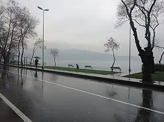 A view of the Bosporus on a rainy day. Trees are visible on the sides of the photo, while visibility is low in the far-plane.
