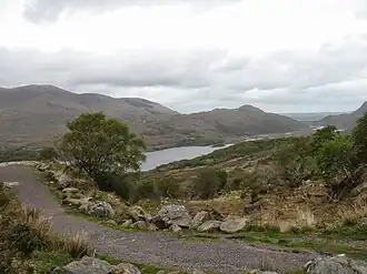 Road around the area