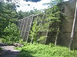 Photo of a concrete wall with buttresses that passes through a wooded area with a trail to the left. Low lying vegetation is at the base of the wall.