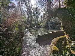Lake at Ninesprings Country Park