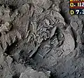 Burial 6. Excavation at exposition 12.