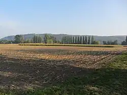 La Vieille Thielle, archeological site