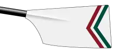 Image showing the rowing club's blade colours