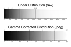 Comparison of linear and gamma-corrected tonal ranges, showing how each stop is recorded.
