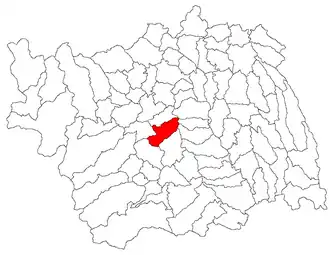Location in Bacău County