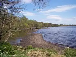 Lough Neagh at Shane's Castle, County Antrim
