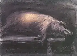 Slaughtered Pig, 1906