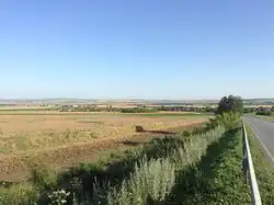 Field by the roadside of Lozarevo