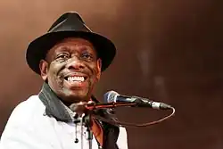 Peterson at Festival du Bout du Monde in 2016