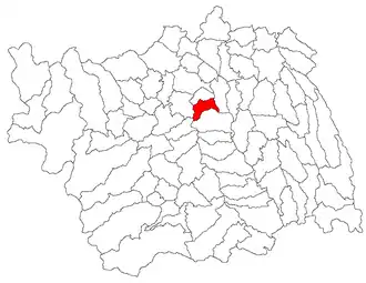 Location in Bacău County
