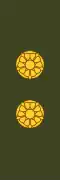Luutnantti Löjtnant (Finnish Army)[31]
