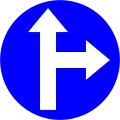 24g)&nbsp;— Proceed straight or turn right