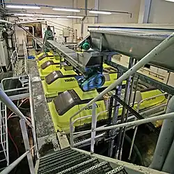 Colour photo showing a battery of five screw presses in a cooperative. Above, an endless stainless steel screw used to bring the harvest in the press. The selection of each unit is done by means of an automatic door. The winery is very clean: white walls, machines and media access in painted steel and concrete floor gallery and coated with a washable paint.
