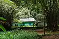 Green house - Banco Forest