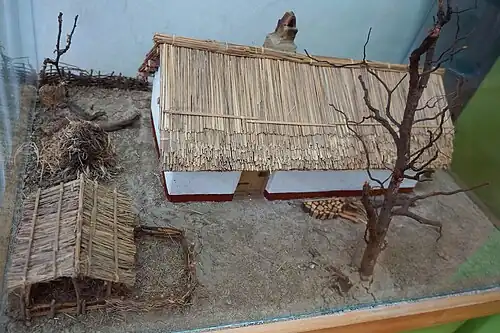 Model of a salaš with no elevated foundation in the Kikinda Museum, Vojvodina, Serbia