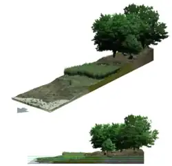 An illustration of a salt marsh at mean low tide.