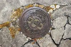 Buckeye #1 (1985), sculpture relief, 19 x 25 x 2 in. (48.26 x 63.5 x 10.16&nbsp;cm), artist's collection