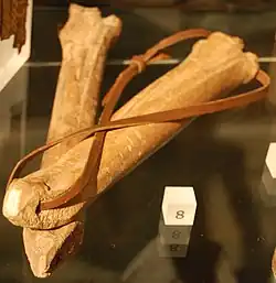 Two cow bones with a hole drilled through each to insert a leather strap