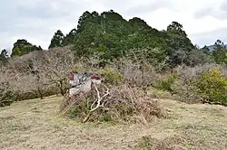 View of the circular mound from the front