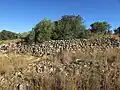 Dry stone wall in Mgarr, Malta