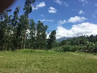 Minova, Kalehe Territory