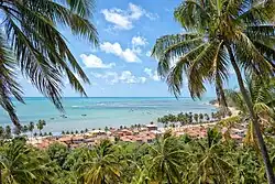 View of the coast from Monte Tabor Lookout Tower in Japaratinga