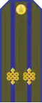 Mongolian Army-Lieutenant colonel-service 1990-1998